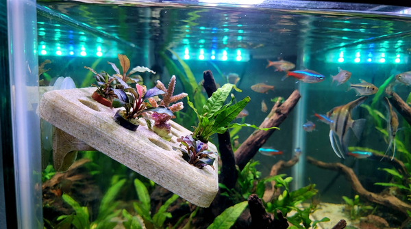 Is PLA Safe for Aquariums? Printing Coral Frags and Hides